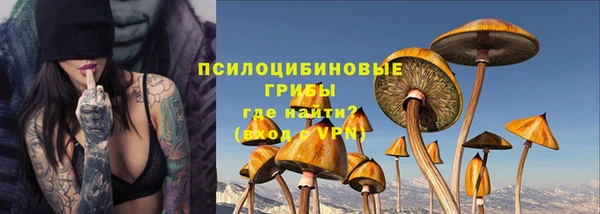 гидропоника Богородицк