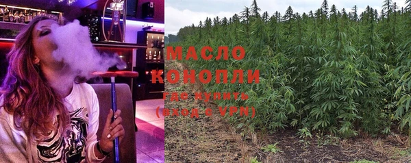 мдпв Богородск