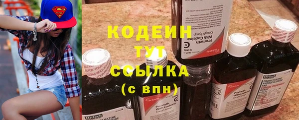 мдпв Богородск