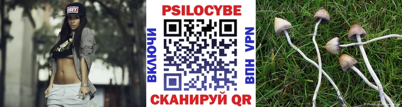 где можно купить   Плёс  Галлюциногенные грибы прущие грибы 